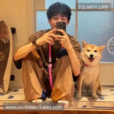 狄柏
